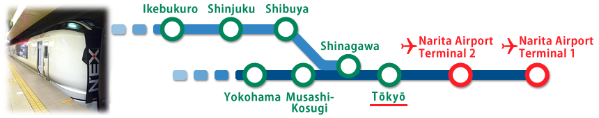 Access from Narita Airport to Tokyo by Narita Express